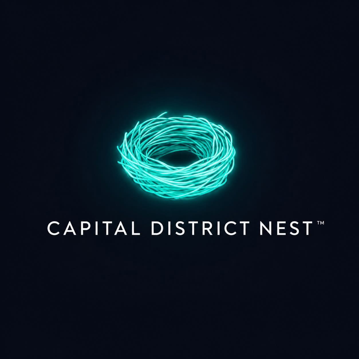 Capital District Nest logo